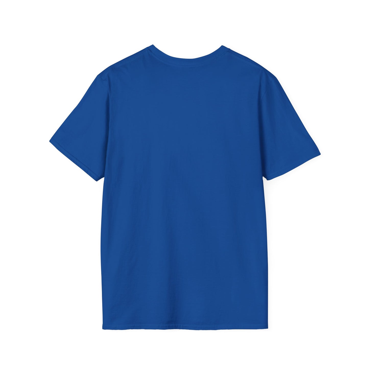 NO RISK T-Shirt